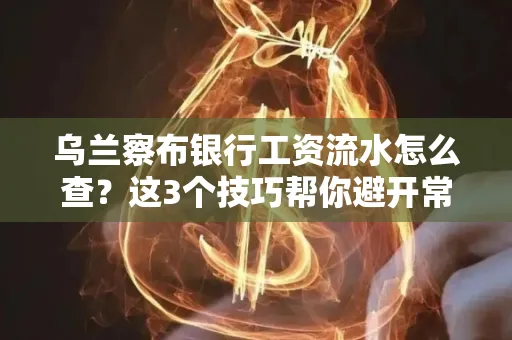 乌兰察布银行工资流水怎么查?这3个技巧帮你避开常见坑