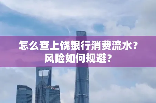 怎么查上饶银行消费流水?风险如何规避?