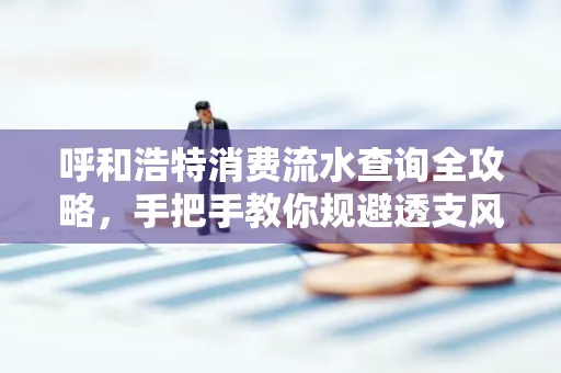 呼和浩特消费流水查询全攻略,手把手教你规避透支风险
