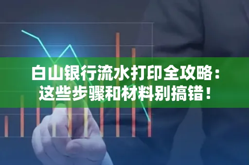 白山银行流水打印全攻略:这些步骤和材料别搞错!