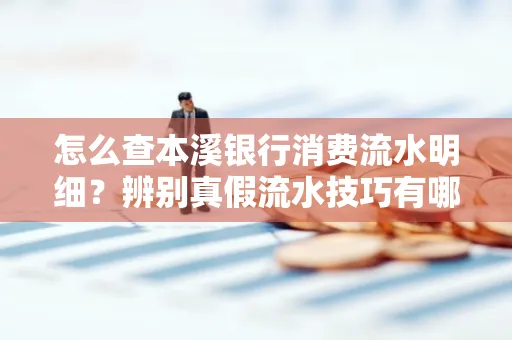 怎么查本溪银行消费流水明细?辨别真假流水技巧有哪些?