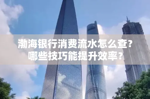 渤海银行消费流水怎么查？哪些技巧能提升效率？