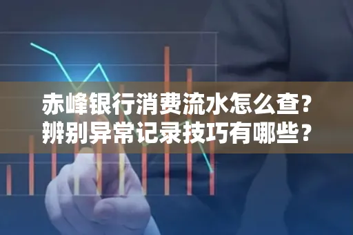 赤峰银行消费流水怎么查?辨别异常记录技巧有哪些?