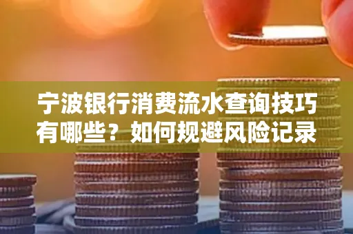 宁波银行消费流水查询技巧有哪些?如何规避风险记录?
