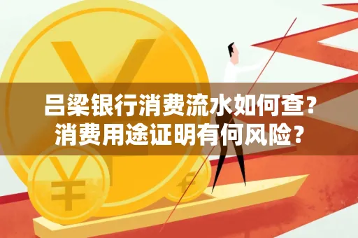 吕梁银行消费流水如何查?消费用途证明有何风险?