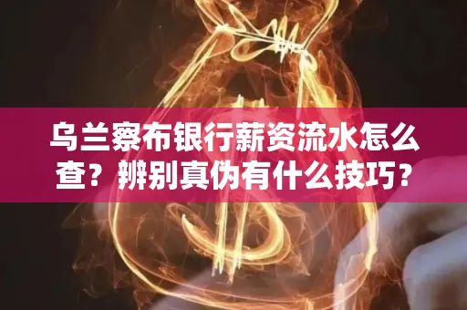 乌兰察布银行薪资流水怎么查?辨别真伪有什么技巧?