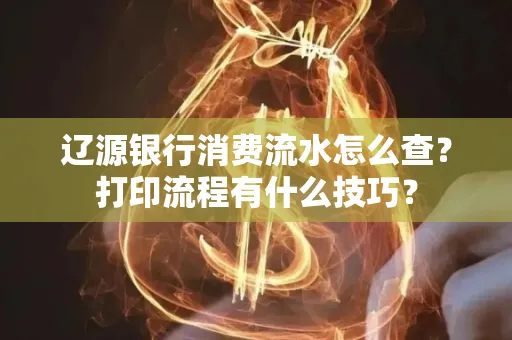 辽源银行消费流水怎么查?打印流程有什么技巧?