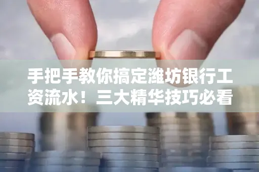 手把手教你搞定潍坊银行工资流水!三大精华技巧必看