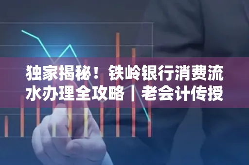 独家揭秘!铁岭银行消费流水办理全攻略|老会计传授防诈技巧