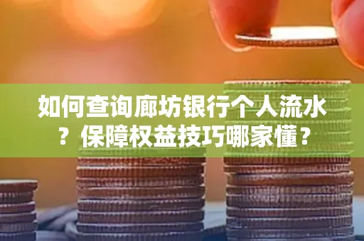 如何查询廊坊银行个人流水?保障权益技巧哪家懂?