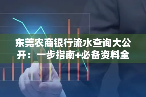 东莞农商银行流水查询大公开：一步指南+必备资料全解读