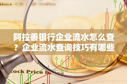 阿拉善银行企业流水怎么查？企业流水查询技巧有哪些？