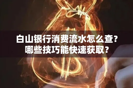 白山银行消费流水怎么查?哪些技巧能快速获取?