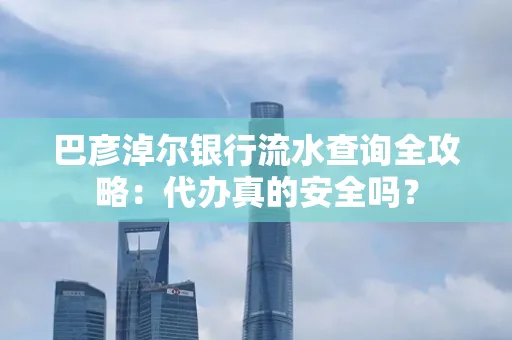 巴彦淖尔银行流水查询全攻略:代办真的安全吗?