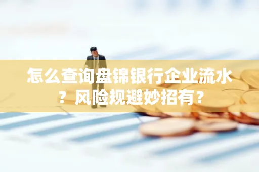 怎么查询盘锦银行企业流水?风险规避妙招有?