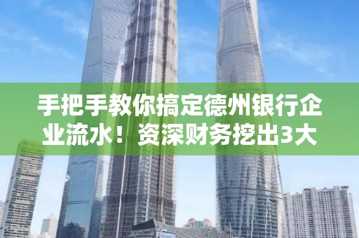 手把手教你搞定德州银行企业流水!资深财务挖出3大隐藏风险点