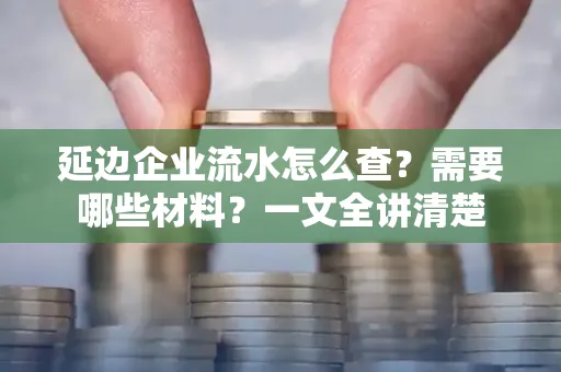延边企业流水怎么查?需要哪些材料?一文全讲清楚