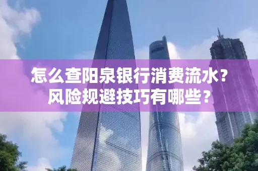 怎么查阳泉银行消费流水？风险规避技巧有哪些？