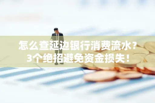怎么查延边银行消费流水?3个绝招避免资金损失!