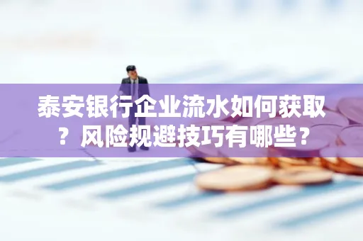 泰安银行企业流水如何获取?风险规避技巧有哪些?