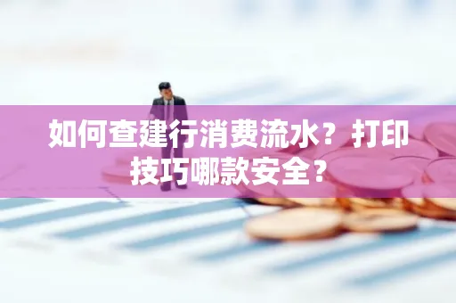 如何查建行消费流水?打印技巧哪款安全?